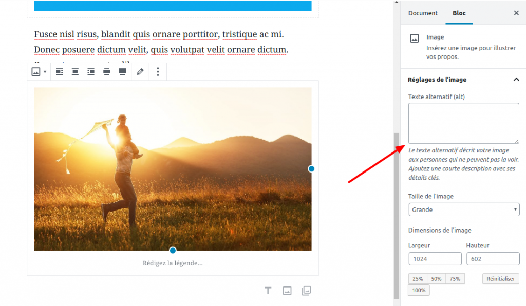Comment utiliser Gutenberg, le nouvel éditeur de WordPress Comment utiliser Gutenberg, le nouvel éditeur de WordPress